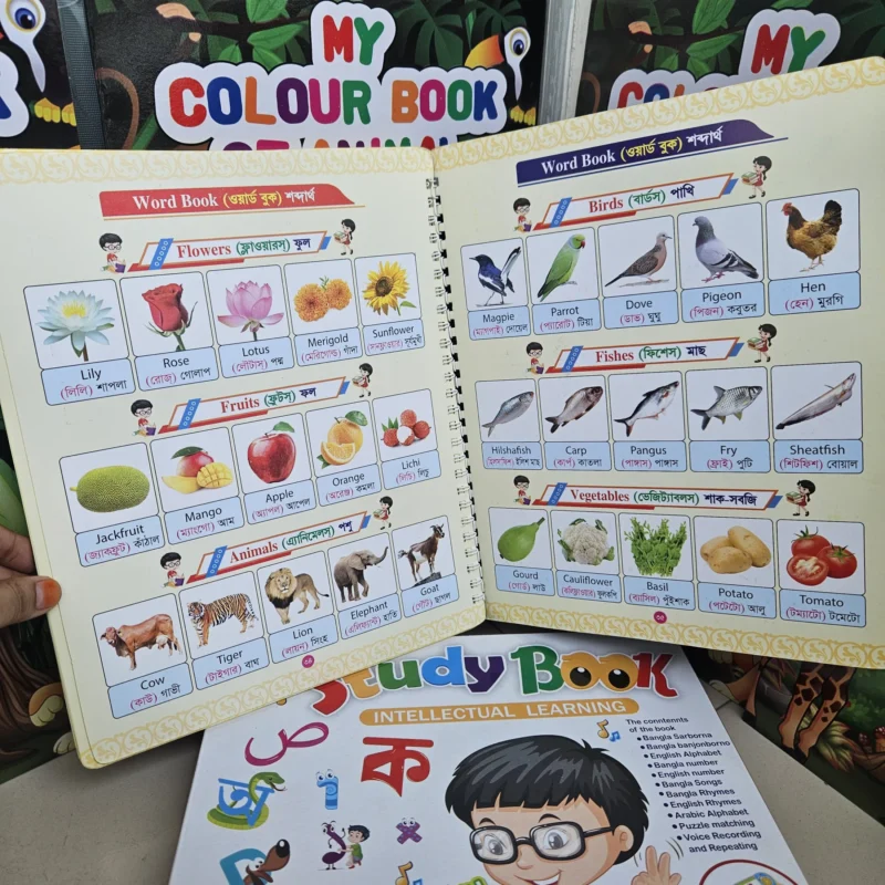 Big Size All in One Magic Handwriting Practice Book for Kids  ম্যাজিক বুক একের ভিতর সব - Image 4
